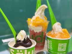 -Salud撒露欧洲冻酸奶(蓝色港湾店)