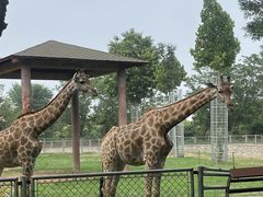 -石家庄市动物园