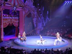 -珠海横琴长隆《卡卡虎奇遇记》