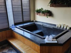 -春晖园度假酒店温泉