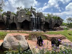 -海南热带野生动植物园