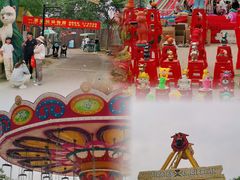 -曹州牡丹园