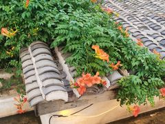 -瓦库茶馆17号(海汇港店)