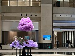 -上海外滩茂悦大酒店