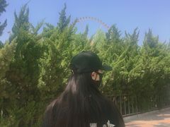 -石家庄市动物园