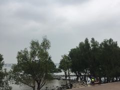 -宝安西湾红树林湿地公园