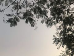 -海堤纪念公园