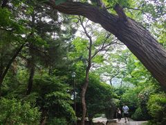 -青岛崂山太清宫