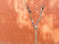 -上海市第七人民医院