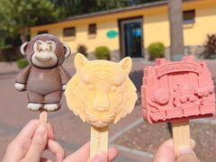 -北京野生动物园