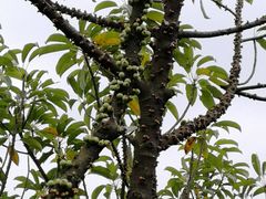 -青芝山风景名胜区