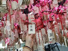 -深圳失恋博物馆再见前任(汇商名苑店)