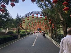 -大屏嶂森林公园