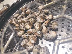 -越百海海鲜蒸锅(乐山店)