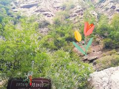 景点-九龙潭景区