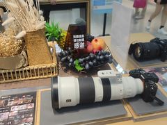 -Sony Store索尼(广州正佳店)
