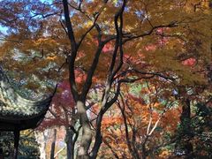 -苏州大学(天赐庄校区)