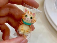 -张家港华芳金陵国际酒店