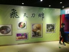 -上海昆虫博物馆