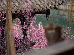 -望江楼公园