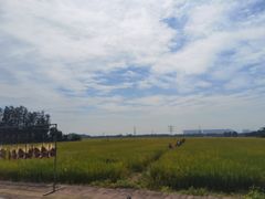 -崖口云吞(中堡店)