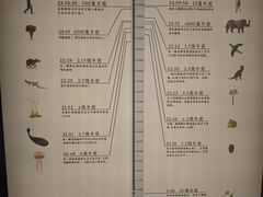 -無用生活空间(北京店)