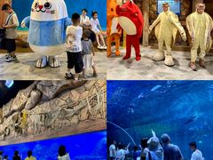 -华夏文旅海洋公园