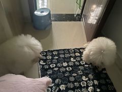 -贝利宠物医院·骨科·眼科·肿瘤转诊中心(南坪诊疗中心)