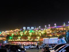 -枇杷园食为鲜火锅(南山店)