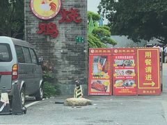 -强记烧鸡(信业悦都汇店)