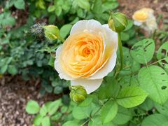 -人民公园(罗湖区)