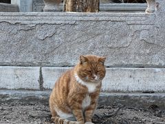 -潭柘寺景区