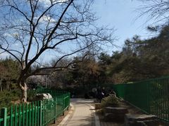 -双榆树公园