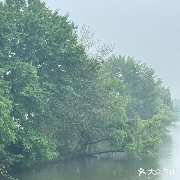 西溪湿地旅游团大自然的雨后韵味