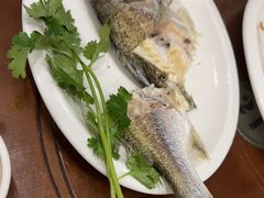 -长平肥姐白粥·海鲜打冷