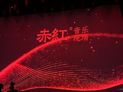 -赤红音乐现场(浦东金桥路店)