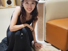 -藏猫猫咖啡主题馆(中央大道店)