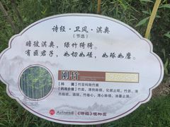 -广西壮族自治区药用植物园