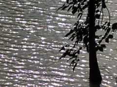 -广州白江湖森林公园