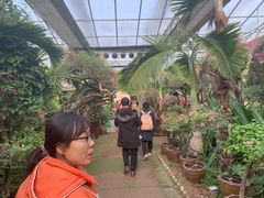 -呀路古热带植物园