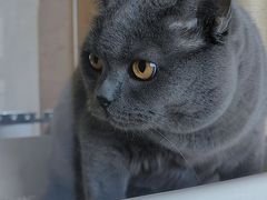 -Me Coffee下午茶艺术空间