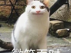 -零距离健身游泳(雁塔店)