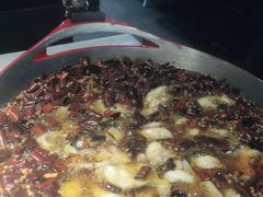 -雲蜀龙阁·金牌水煮鱼(方庄店)