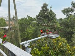 -新加坡飞禽公园