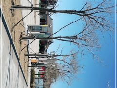 -天津妈祖文化园