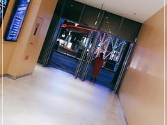 -飞行喵MR PILOT|猫舍·猫咖(静安大融城店)