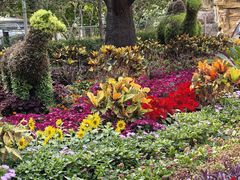 -石家庄市动物园