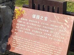-朴园