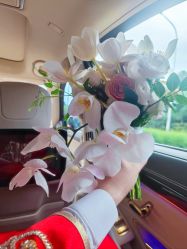 -明典婚礼策划·婚车租赁·婚纱摄影