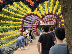 -北海金海湾红树林生态旅游区